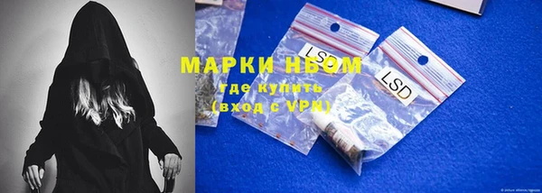 индика Сафоново