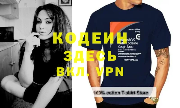 индика Сафоново