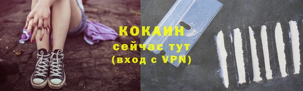 индика Заволжск