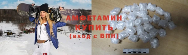 гидра Рославль