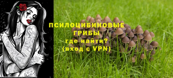 гидра Рославль