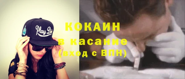 гидра Рославль