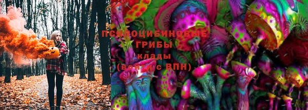 гидра Рославль