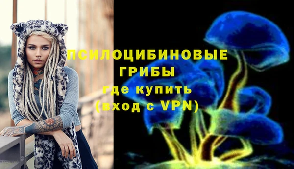 apvp Зеленокумск
