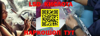 крисы Апшеронск