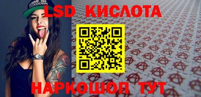 гашик Аргун