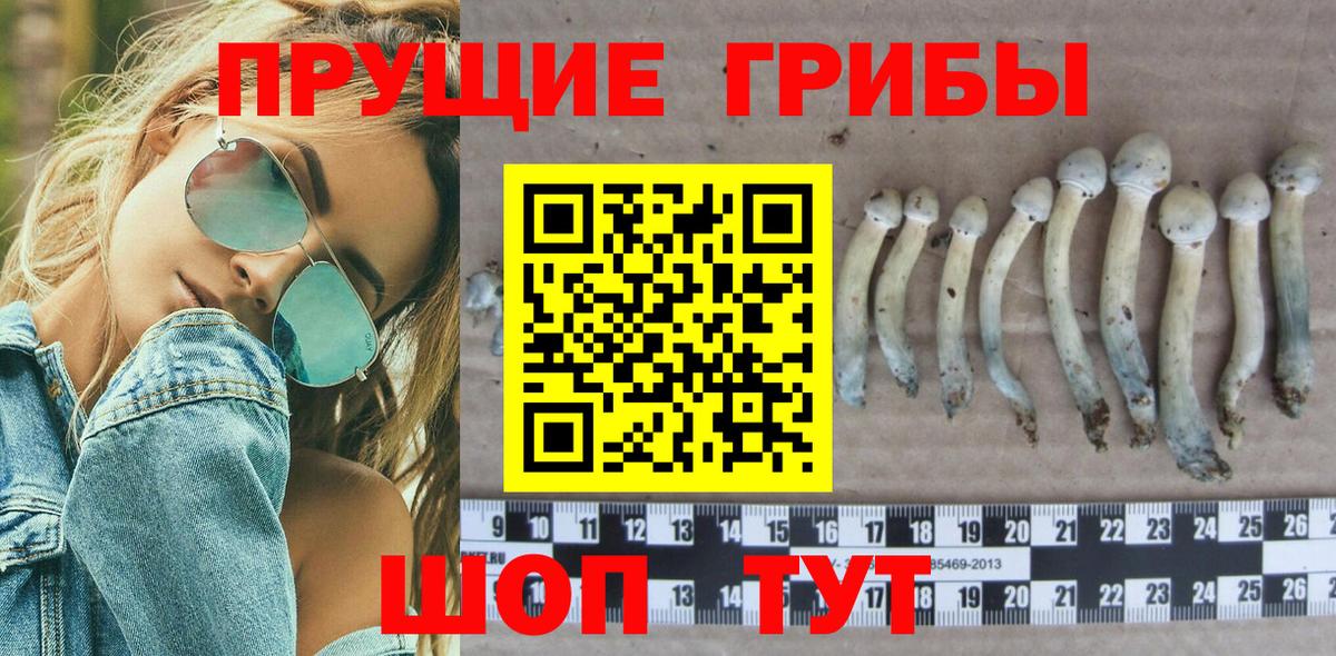 Галлюциногенные грибы Magic Shrooms  Вход с VPN  Солнечногорск 